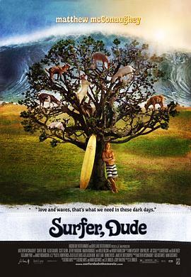 冲浪高手 Surfer, Dude (2008) - 毒蛇电影