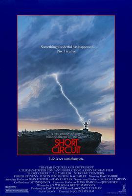 霹雳五号 Short Circuit (1986) - 毒蛇电影