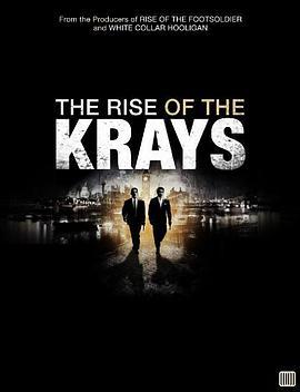 克雷兄弟的崛起 The Rise of the Krays (2015) - 毒蛇电影