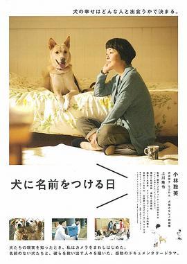 为你取名的那一天 犬に名前をつける日 (2015) - 毒蛇电影