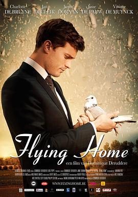 飞归故乡 Flying Home (2014) - 毒蛇电影