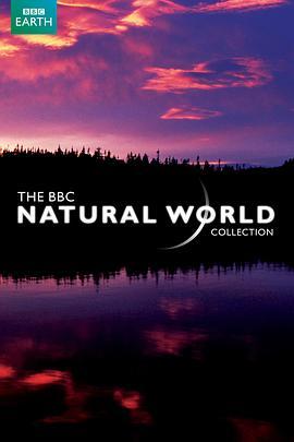 BBC 自然世界 2010 神秘的豹 BBC.Natural.World.2010.The.Secret.Leopards (2010) - 毒蛇电影