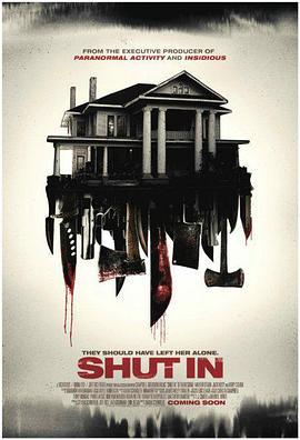 入侵者 Shut In (2015) - 毒蛇电影