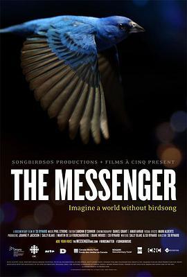 信使 The Messenger (2015) - 毒蛇电影