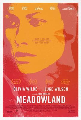 小镇迷踪 Meadowland (2015) - 毒蛇电影