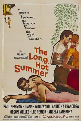 夏日春情 The Long, Hot Summer (1958) - 毒蛇电影