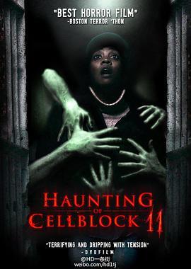 11号监狱 Haunting of Cellblock 11 (2014) - 毒蛇电影