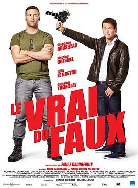 谎言的真相 Le vrai du faux (2014) - 毒蛇电影