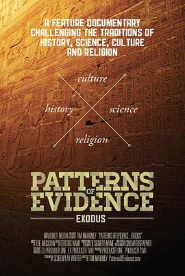 考证：出埃及记 Patterns of Evidence: The Exodus (2014) - 毒蛇电影