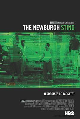 The Newburgh Sting  (2014) - 毒蛇电影