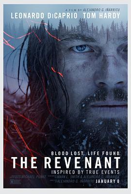 荒野猎人 The Revenant (2015) - 毒蛇电影