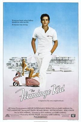 冲击 The Flamingo Kid (1984) - 毒蛇电影