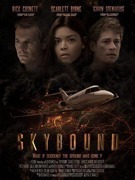 失控天际 Skybound (2015) - 毒蛇电影