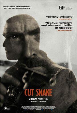 斩蛇 Cut Snake (2015) - 毒蛇电影