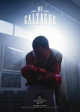 乔·卡尔扎合 Mr Calzaghe (2015) - 毒蛇电影