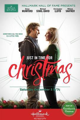 圣诞时光之旅 Just in Time for Christmas (2015) - 毒蛇电影