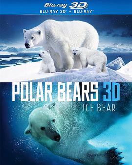 北极熊冰熊 Polar Bears Ice Bear (2013) - 毒蛇电影