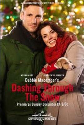 蠢货特务和编织女的公路之旅 Debbie Macomber's Dashing Through the Snow (2015) - 毒蛇电影