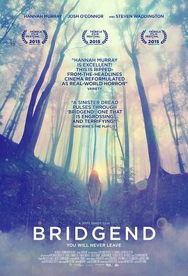 自杀郡 Bridgend (2015) - 毒蛇电影