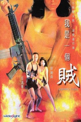 我是一个贼 我是一个賊 (1995) - 毒蛇电影