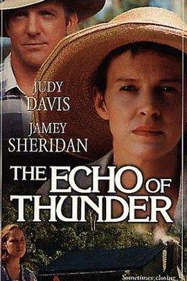 雷声的回响 The Echo of Thunder (1998) - 毒蛇电影