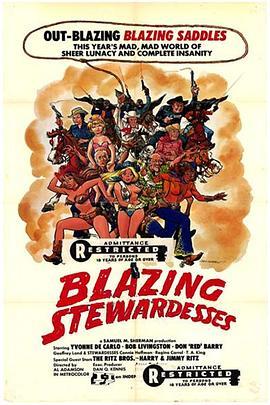 热情的空姐 Blazing Stewardesses (1975) - 毒蛇电影