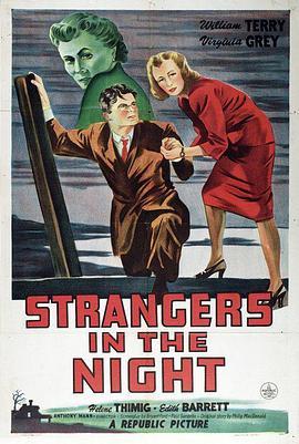 夜间来客 Strangers in the Night (1944) - 毒蛇电影