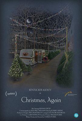 又是圣诞 Christmas, Again (2014) - 毒蛇电影