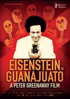 爱森斯坦在瓜纳华托 Eisenstein in Guanajuato (2015) - 毒蛇电影