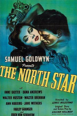 屠城浴血战 The North Star (1943) - 毒蛇电影