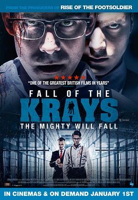 克雷兄弟的秋天 The Fall of the Krays (2016) - 毒蛇电影