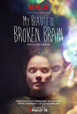 我美丽易碎的大脑 My Beautiful Broken Brain (2016) - 毒蛇电影