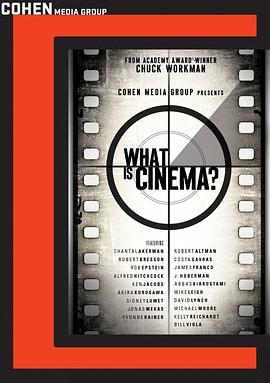 什么是电影？ What Is Cinema? (2013) - 毒蛇电影