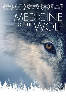 狼医学 Medicine of the Wolf (2015) - 毒蛇电影