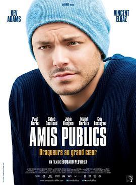 抢劫梦想终成真 Amis publics (2016) - 毒蛇电影