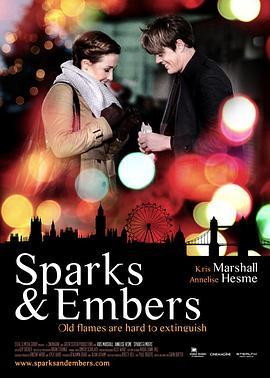 火花与灰烬 Sparks and Embers (2015) - 毒蛇电影