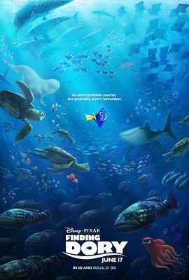 海底总动员2：多莉去哪儿 Finding Dory (2016) - 毒蛇电影