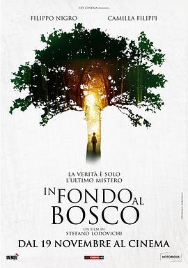 树林深处 In fondo al bosco (2015) - 毒蛇电影