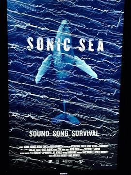 噪音海洋 Sonic Sea (2015) - 毒蛇电影