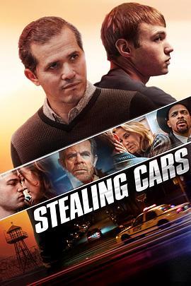 偷车 Stealing Cars (2015) - 毒蛇电影