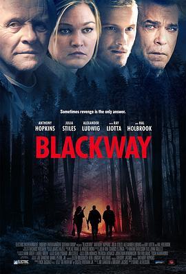 反击 Blackway (2015) - 毒蛇电影