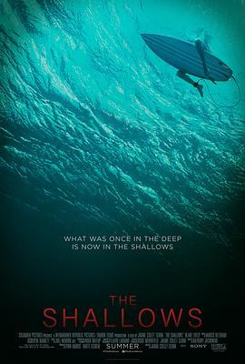 鲨滩 The Shallows (2016) - 毒蛇电影