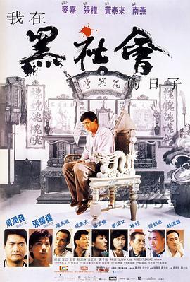 我在黑社会的日子 我在黑社會的日子 (1989) - 毒蛇电影