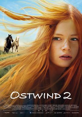 骏马奥斯温2 Ostwind 2 (2015) - 毒蛇电影