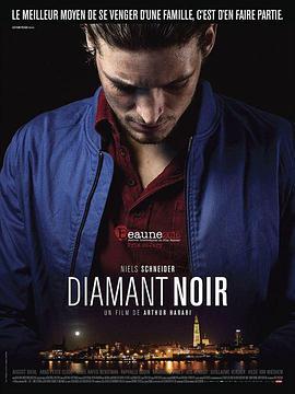 黑钻石 Diamant noir (2016) - 毒蛇电影