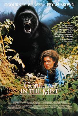 迷雾森林十八年 Gorillas in the Mist: The Story of Dian Fossey (1988) - 毒蛇电影