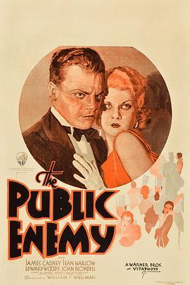 国民公敌 The Public Enemy (1931) - 毒蛇电影