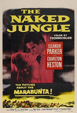 蚂蚁雄兵 The Naked Jungle (1954) - 毒蛇电影