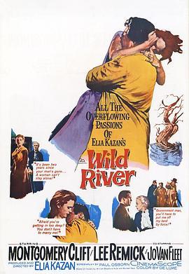 狂澜春醒 Wild River (1960) - 毒蛇电影