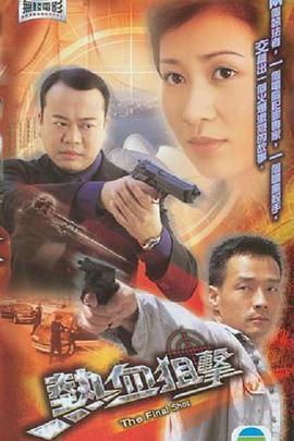 热血狙击  (2003) - 毒蛇电影